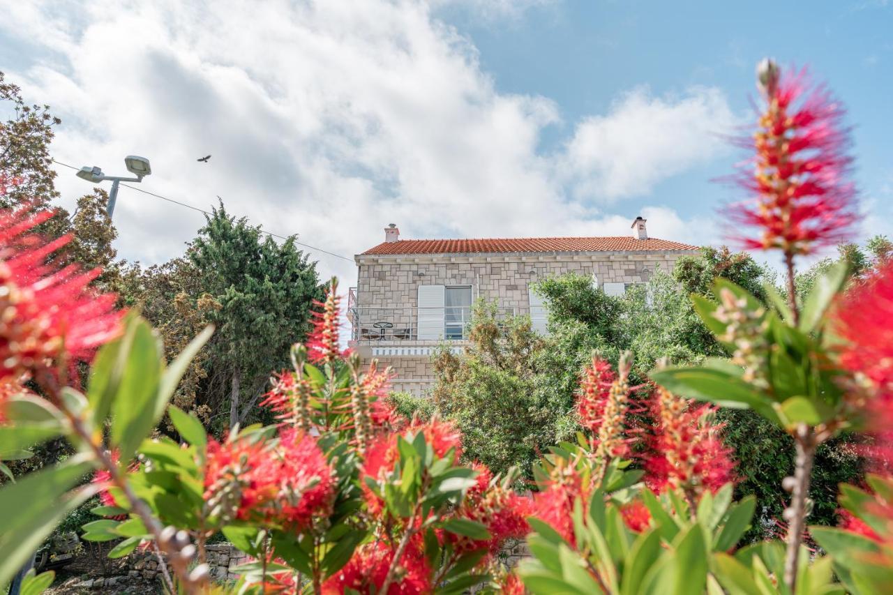 Guesthouse Kamarin Pomena Εξωτερικό φωτογραφία